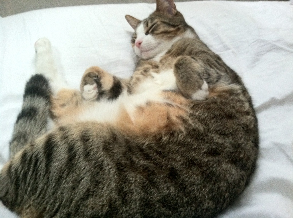 DOTA2地图控制的艺术：如何利用视野掌握比赛主动权，dota2地图详解