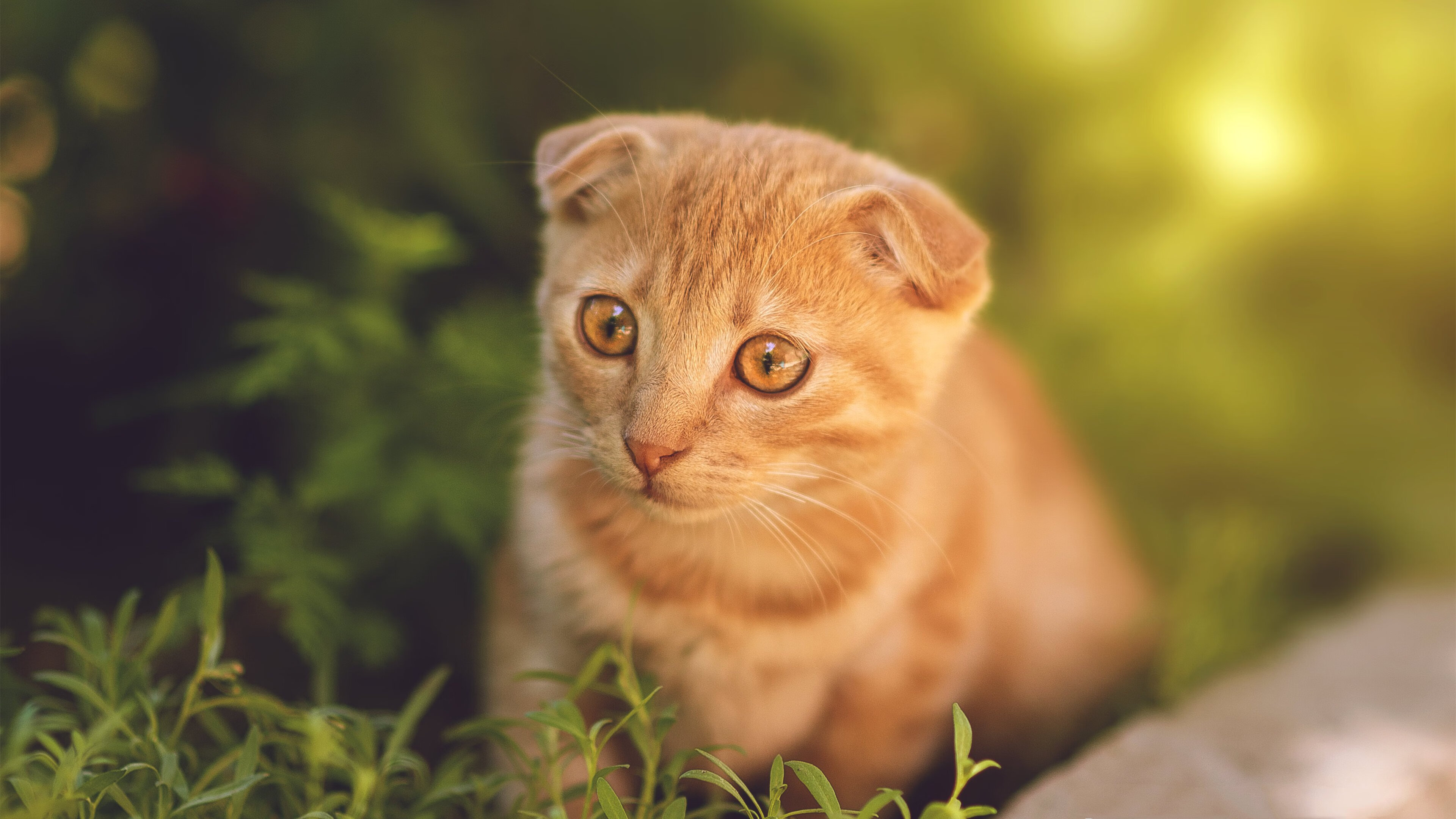 “青少年足球潜力股——未来巨星轮番出场”，青少年足球训练现状