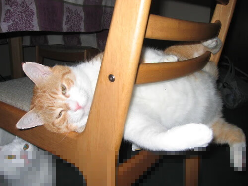 《高校电竞联赛火热开启，学子们展现青春风采》，高校电竞大赛