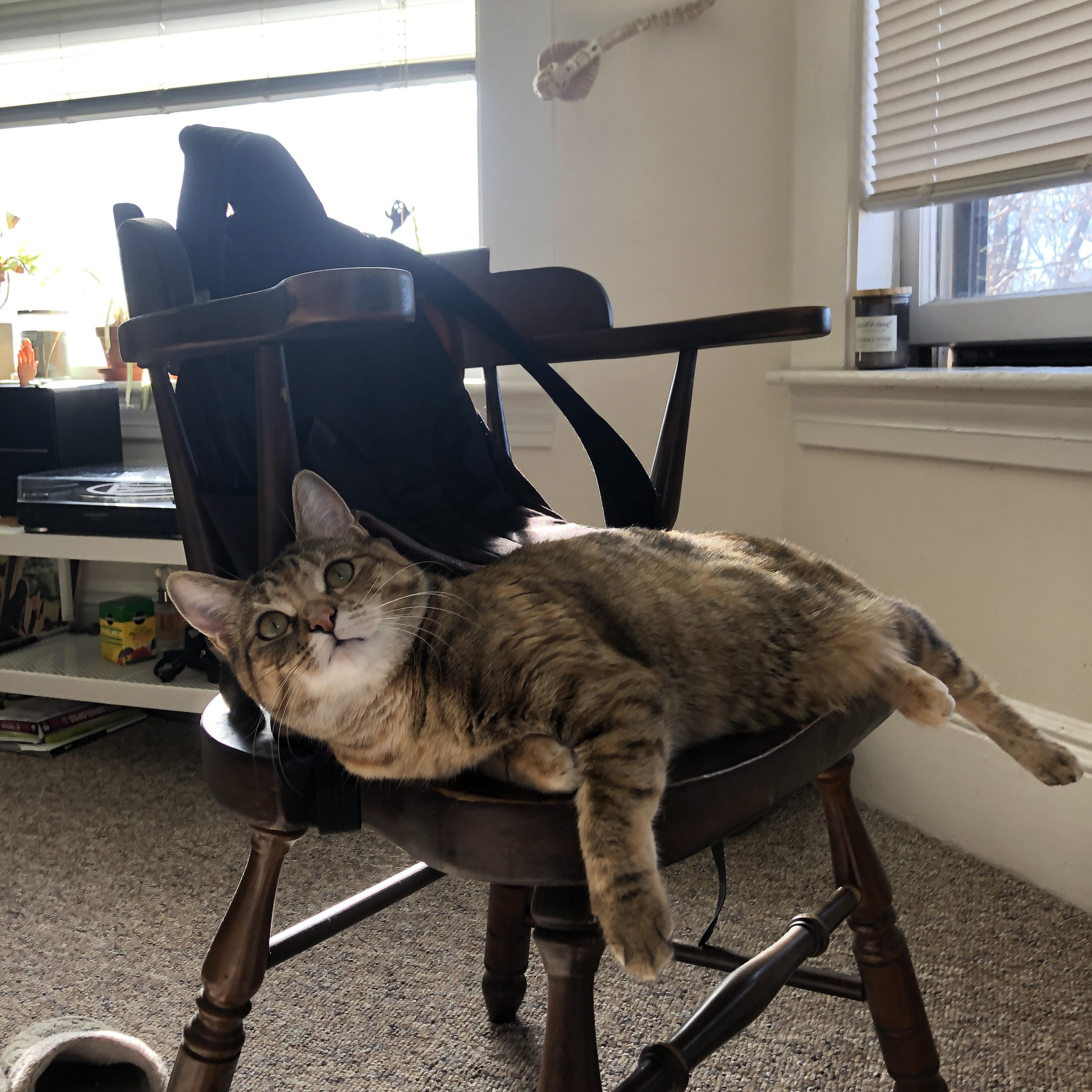 在线篮球教学平台快速发展,为青少年提供优质训练资源,篮球教学网站推荐