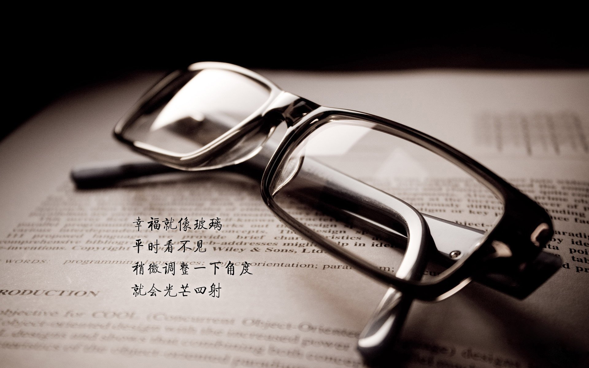 球队粉丝团：他们的故事比比赛更精彩，足球粉丝叫什么