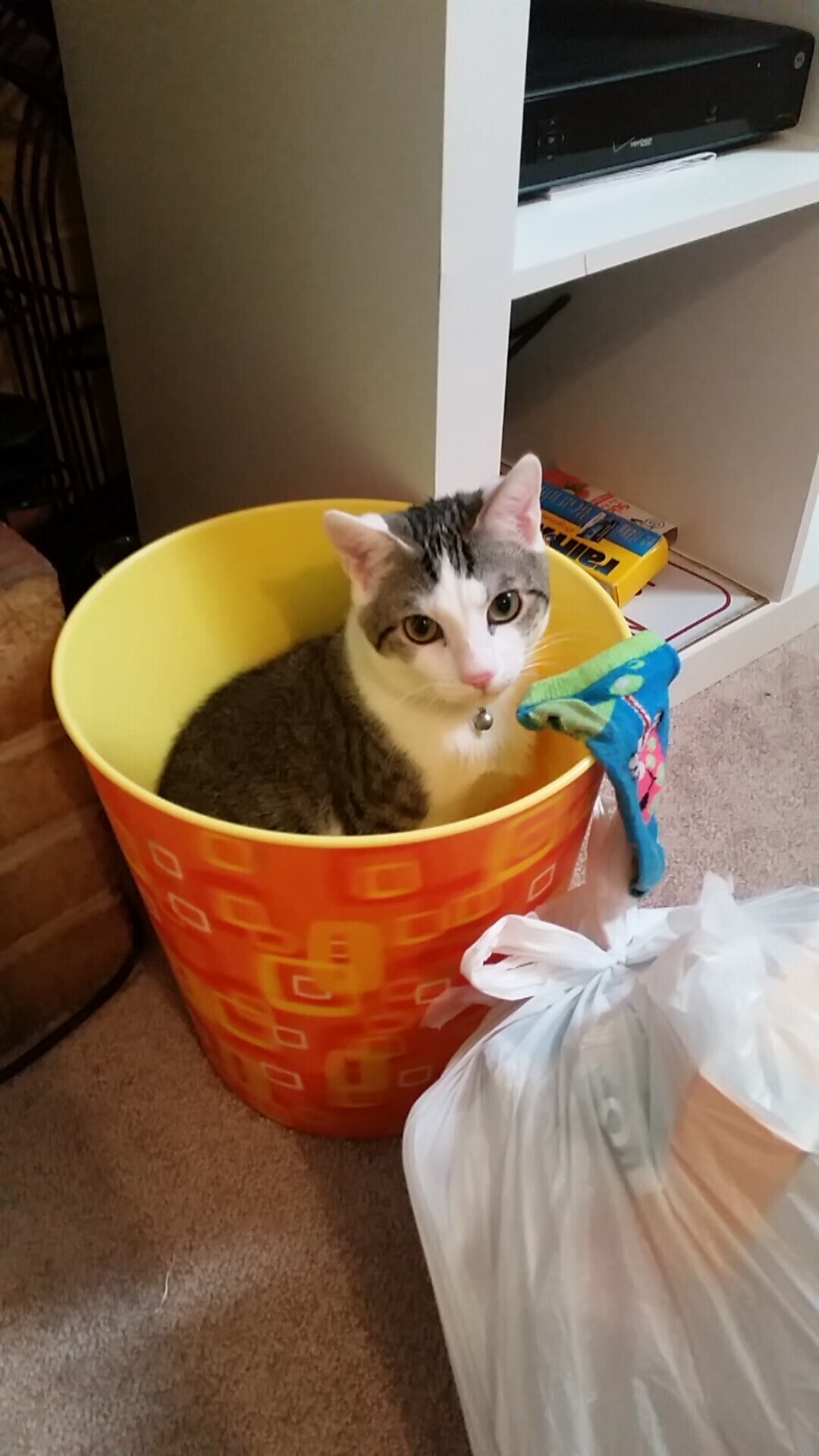 球队重建：未来几年目标与策略规划，球队建设