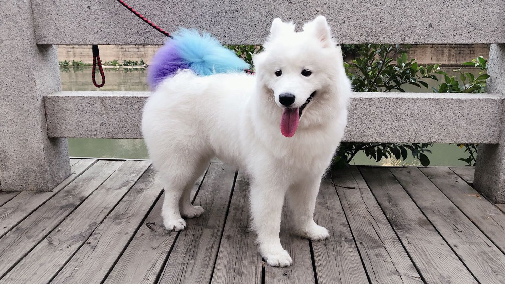 球队重建:未来几年目标与策略规划,球队建设