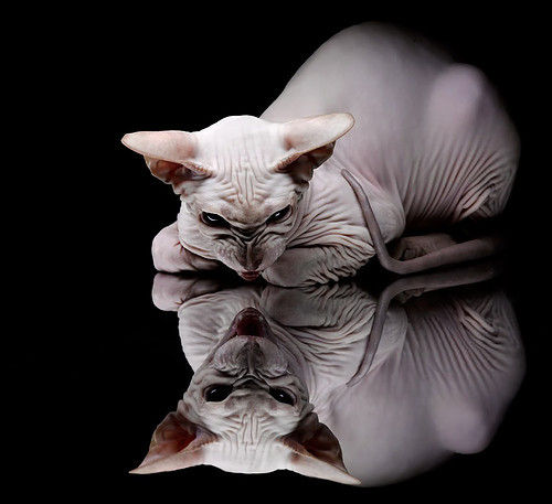 英超:曼城终场绝杀逆转利物浦,争冠局势升温,英超23轮曼城对利物浦