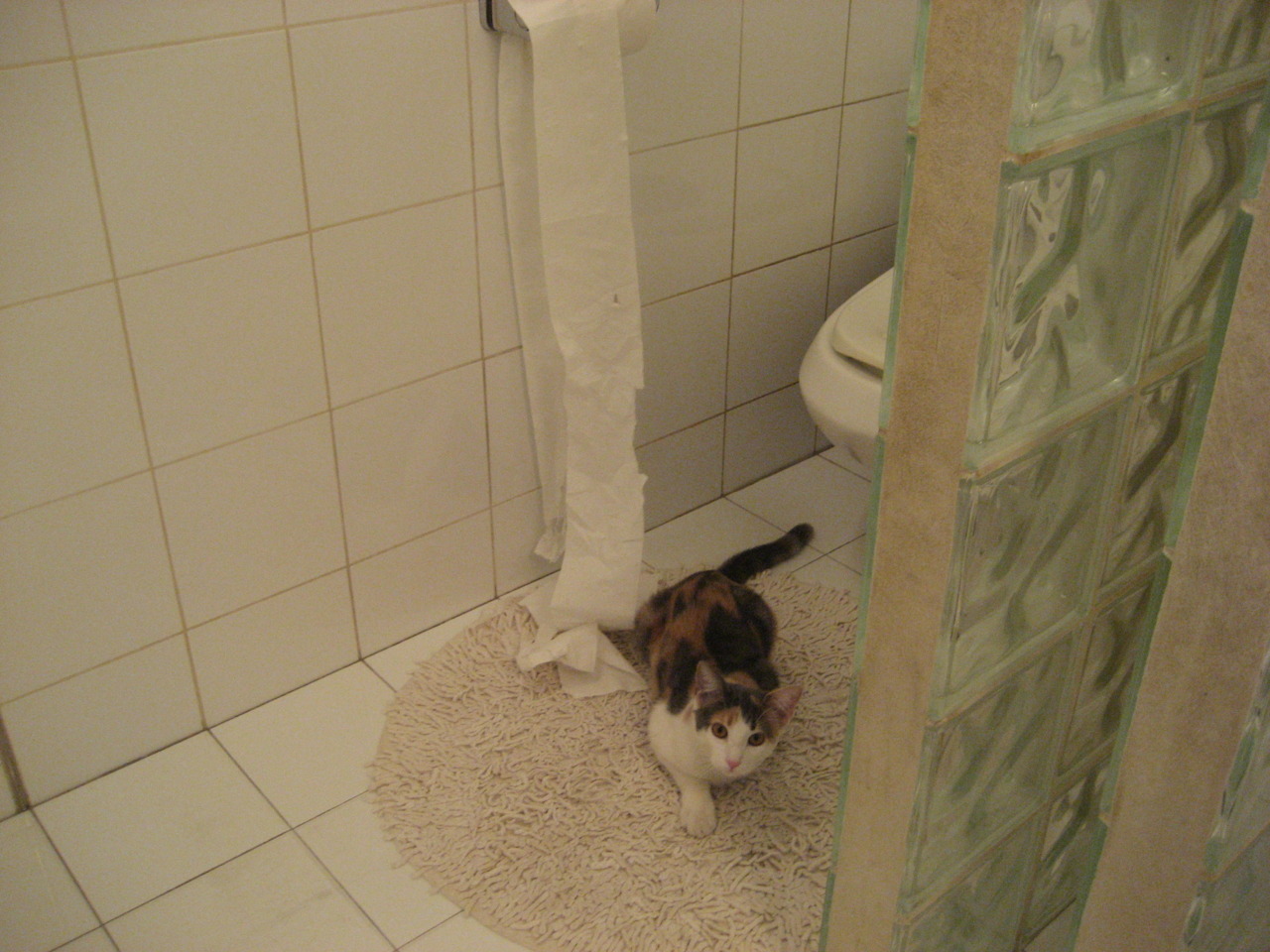 Aster季后赛对阵形势分析，季后赛阵容