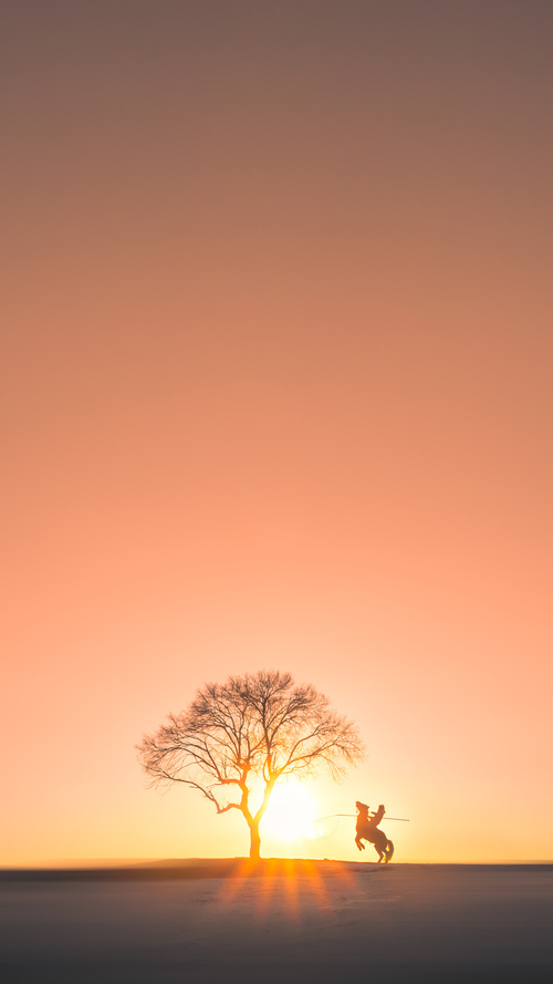 中国篮球运动文化创新发展，中国篮球文化城市