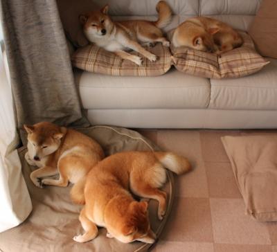 伤停名单出炉，主力中场缺阵，伤停补时进球的概率