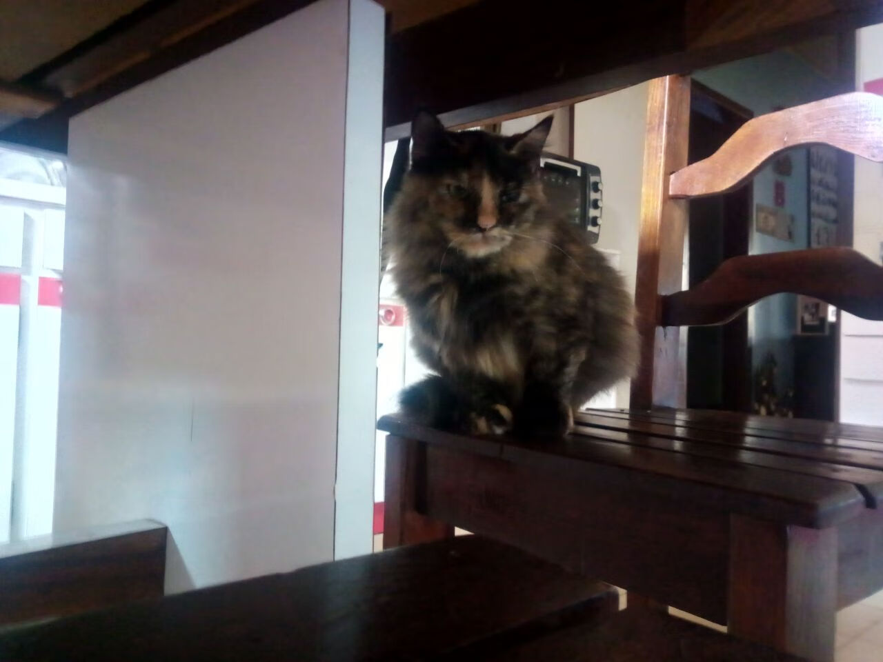 切尔西女足比赛数据统计分析,切尔西女足vs巴塞罗那女足直播