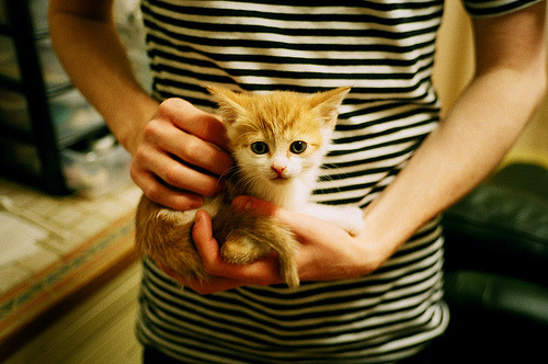 女子滑冰世锦赛谢尔巴科娃夺冠，中国选手排名第六，世界女子滑冰