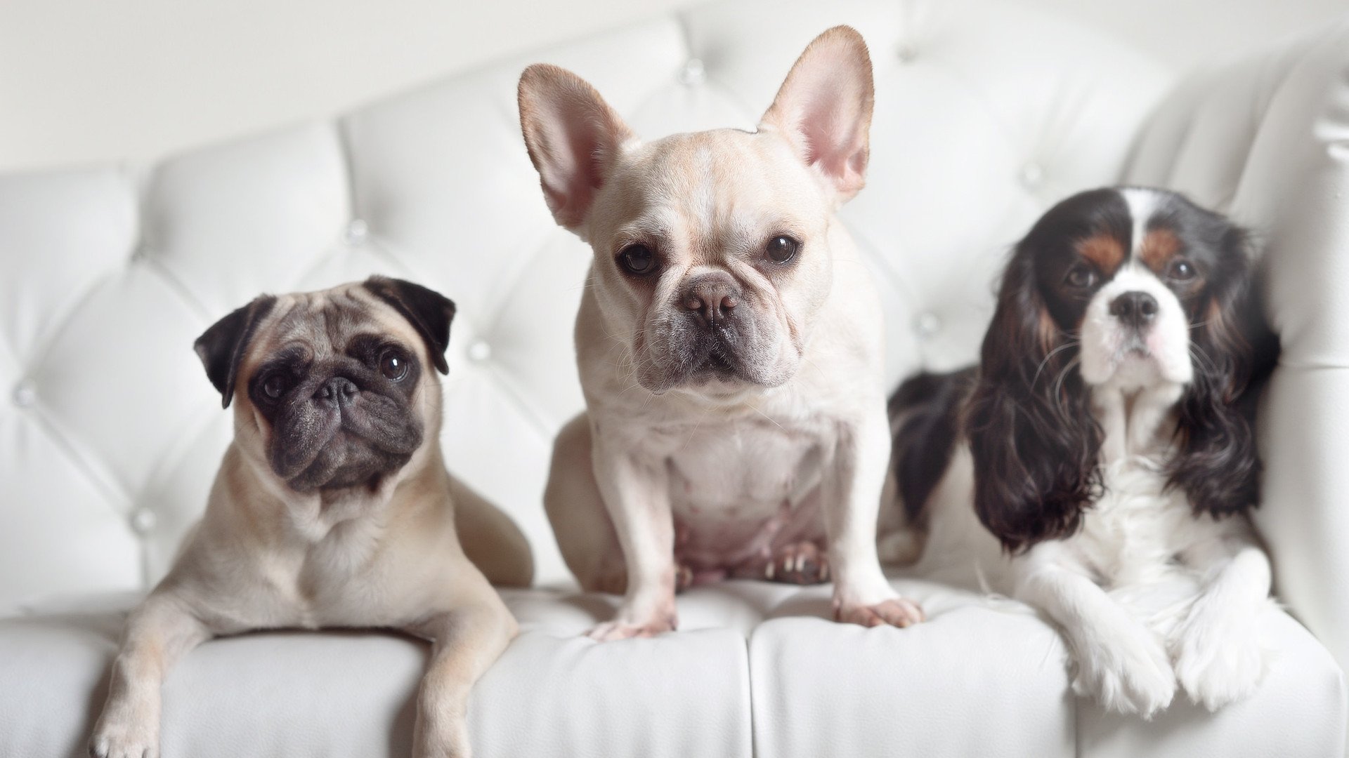 女子篮球世界杯中国队晋级决赛,2022女子篮球世界杯