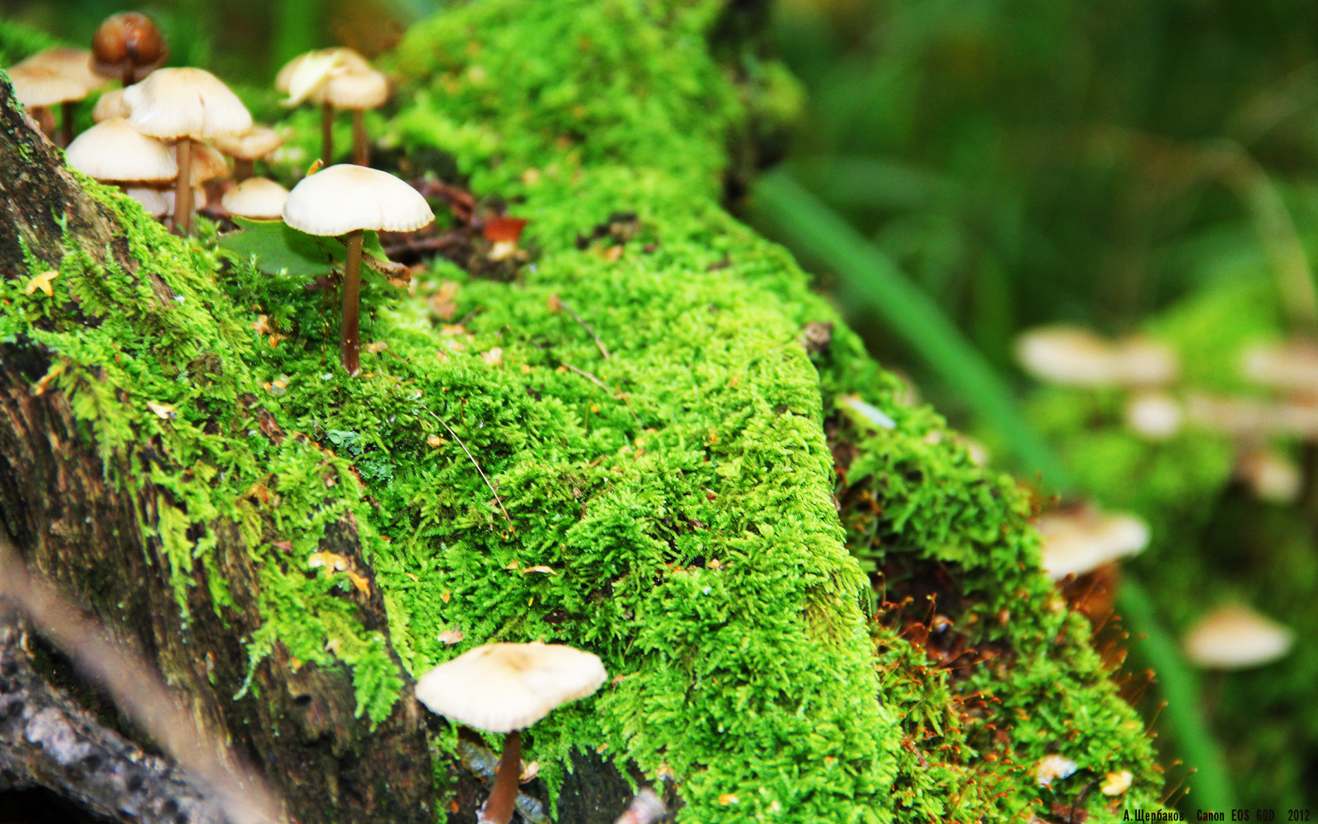 瑞士队中场卡瓦尼在巴黎奥运会上展现出强大的进攻组织能力，卡瓦尼在巴黎总进球数