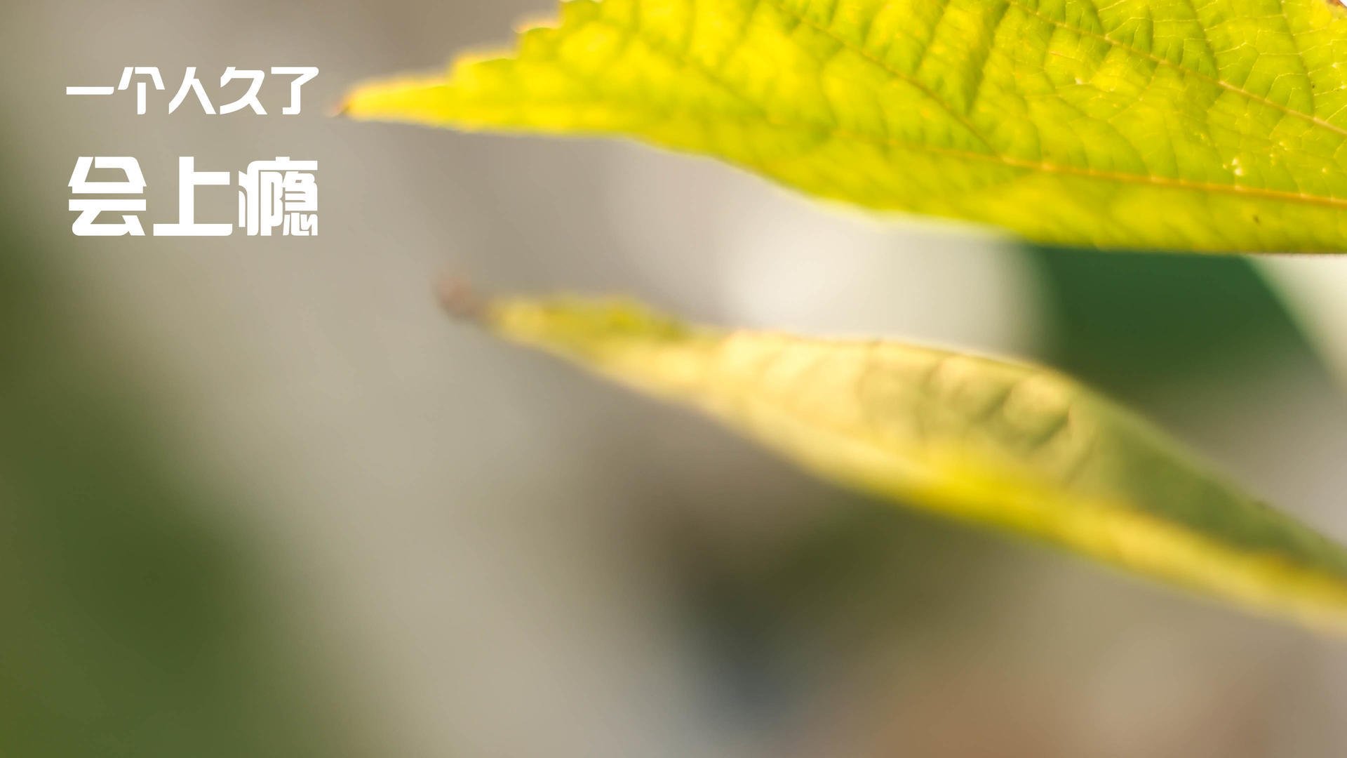 裁判公信力是否影响联赛观赏性,裁判员公平公正执裁原则是什么_