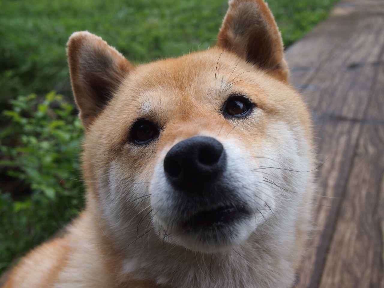 裁判临场心理压力是否需专项训练,临场裁判员的工作流程