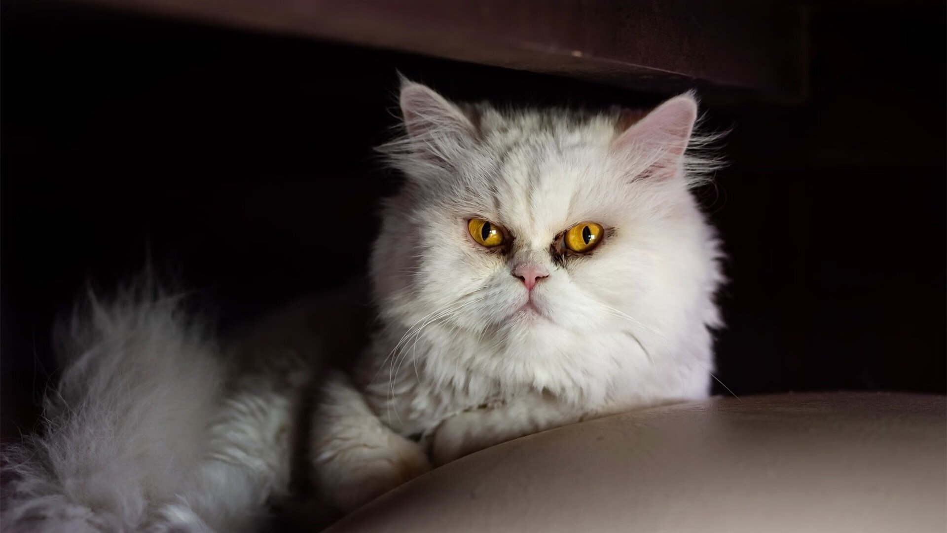 中国足球进攻区域转移效率模型,足球大范围转移