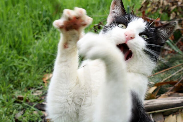 全民健身路径建设结合公园绿地资源，全民健身路径配置原则