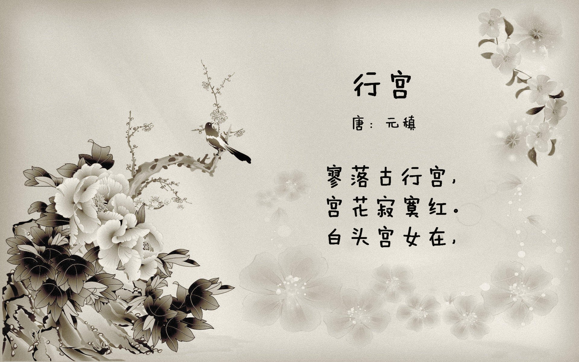 国家男篮增加国际热身赛磨合阵容与战术,男篮热身赛数据统计