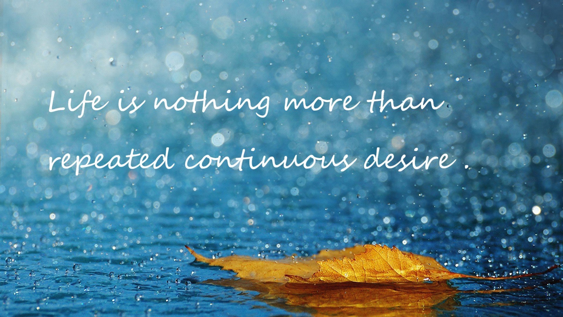 大数据应用助力训练科学管理,大数据在训练管理中的应用