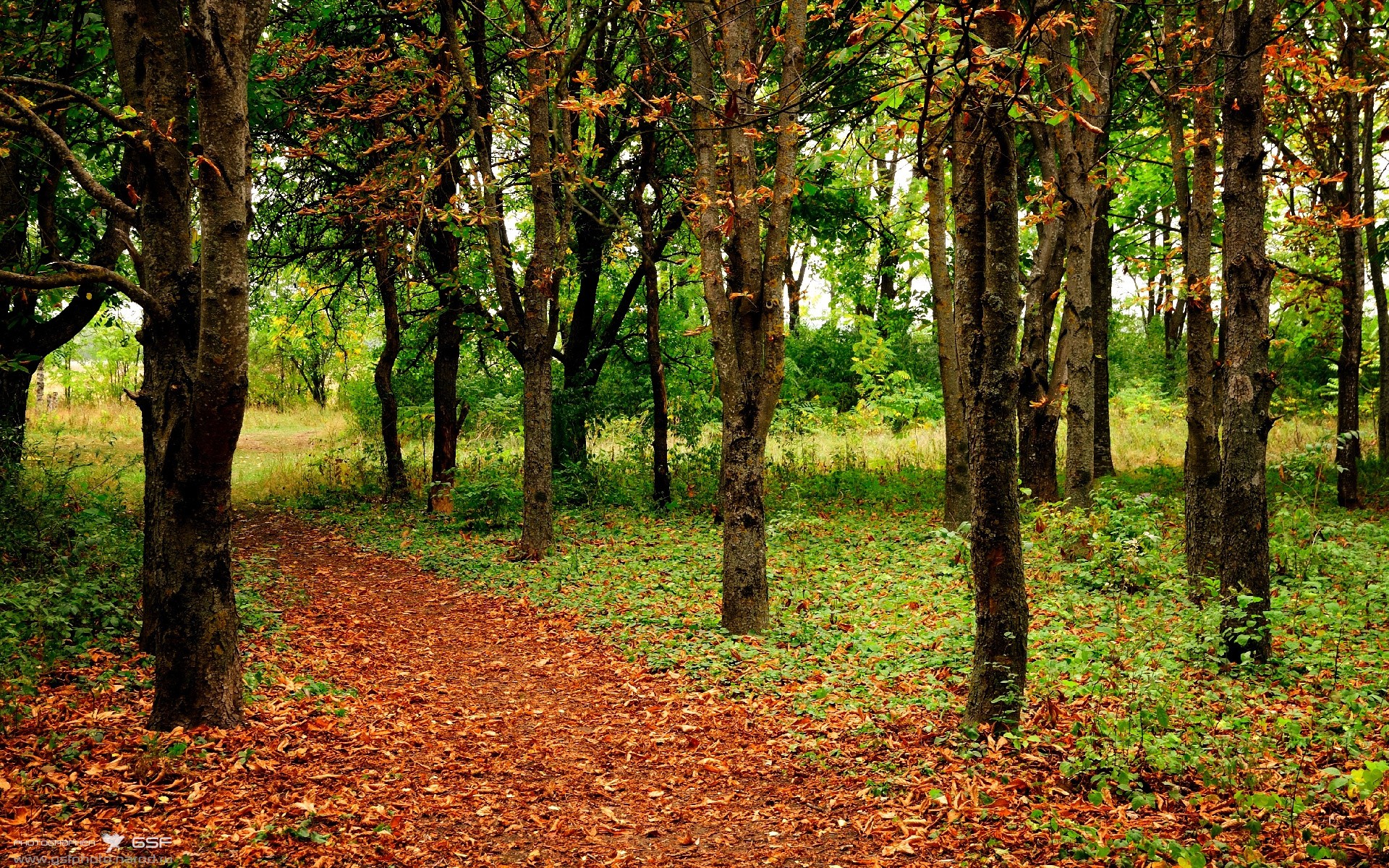 马拉松再掀热潮比赛延期引发讨论，马拉松赛事延期