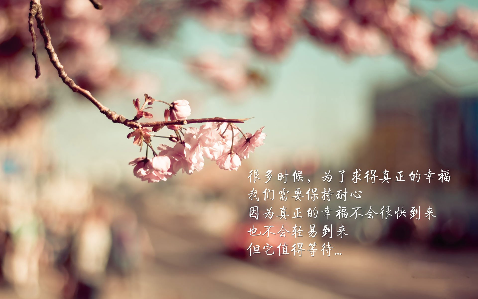 帕金斯为国家队赢得宝贵积分，帕金斯十佳球