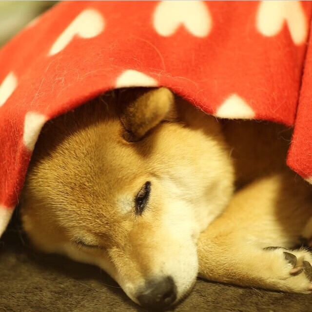 意甲进攻狂潮:它来了!精彩瞬间挡不住!,意甲 sina