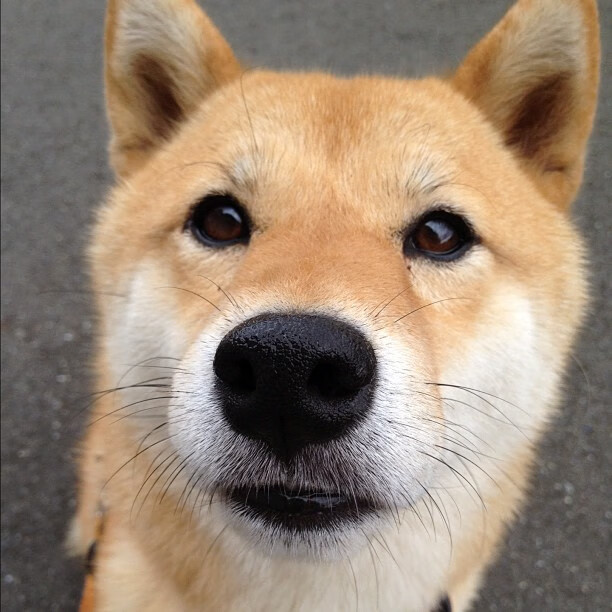 极限运动纪录片荣获国际奖项,极限运动冠军