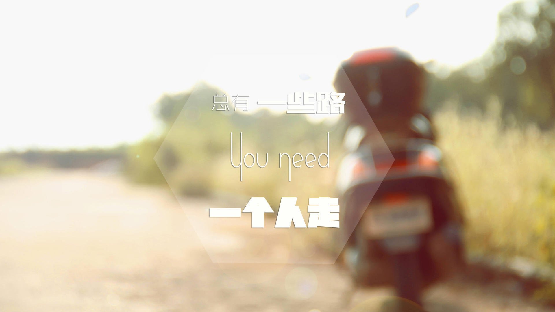 欧洲杯决赛现场：战术与激情的巅峰对决，欧洲杯决赛讲解