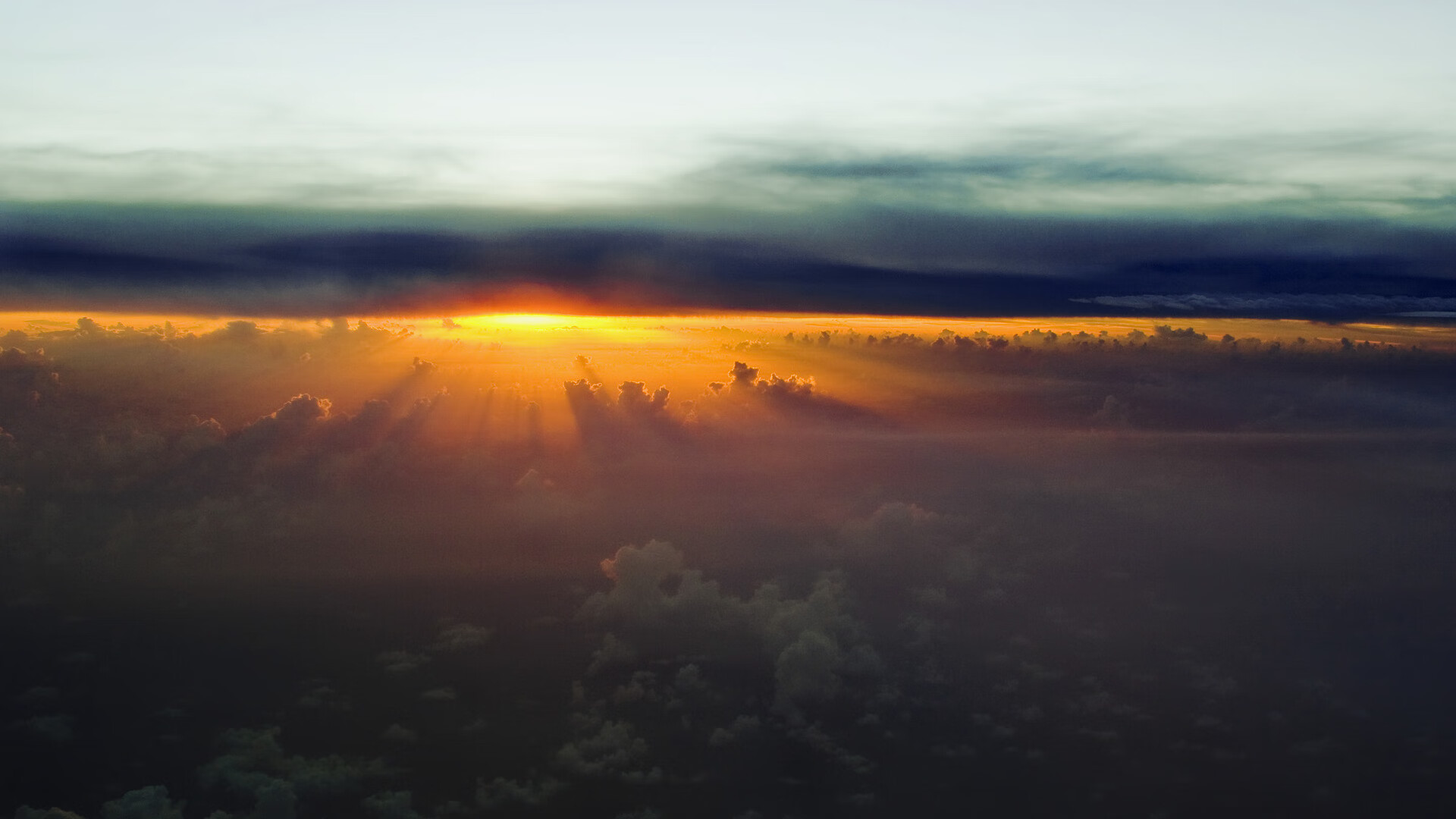 职业联赛制定球员行为规范手册引导健康发展，职业球员的定义